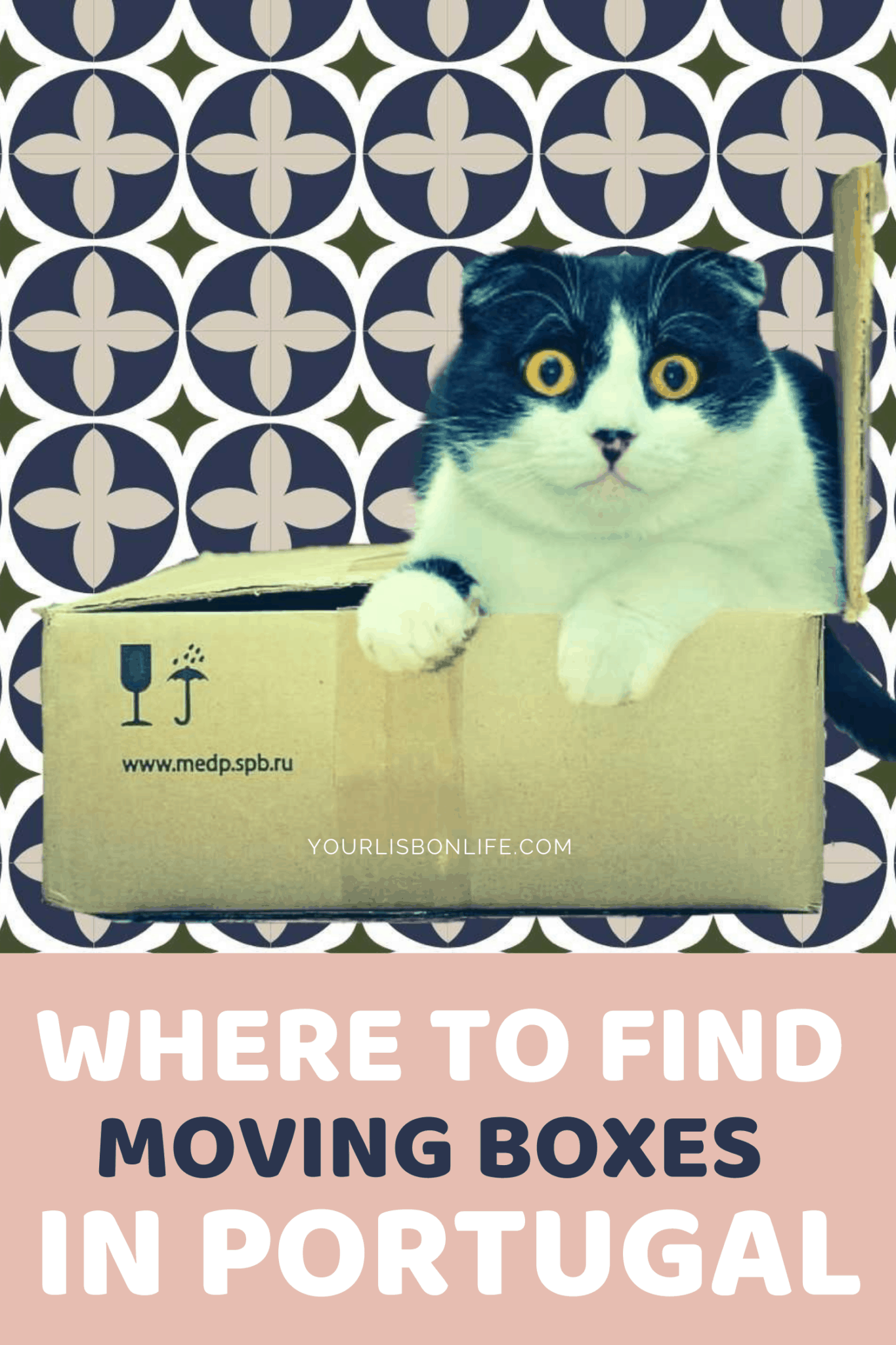 Where to Find Moving Boxes in Portugal